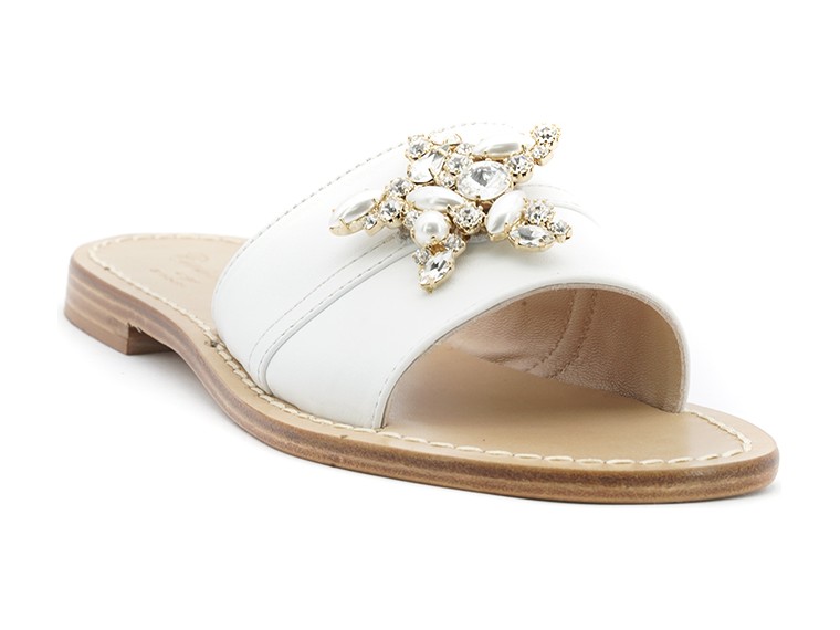 Ciabatta con stella marina...