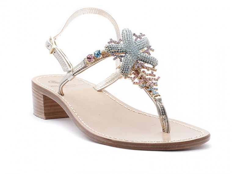 stella marina e coralli  -...