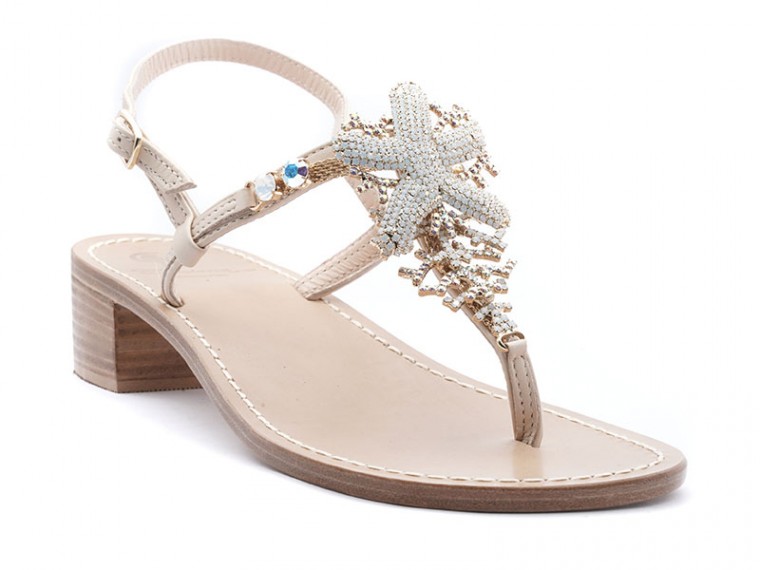 stella marina e coralli  -...