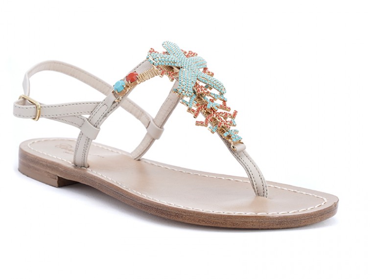 stella marina e coralli  -...