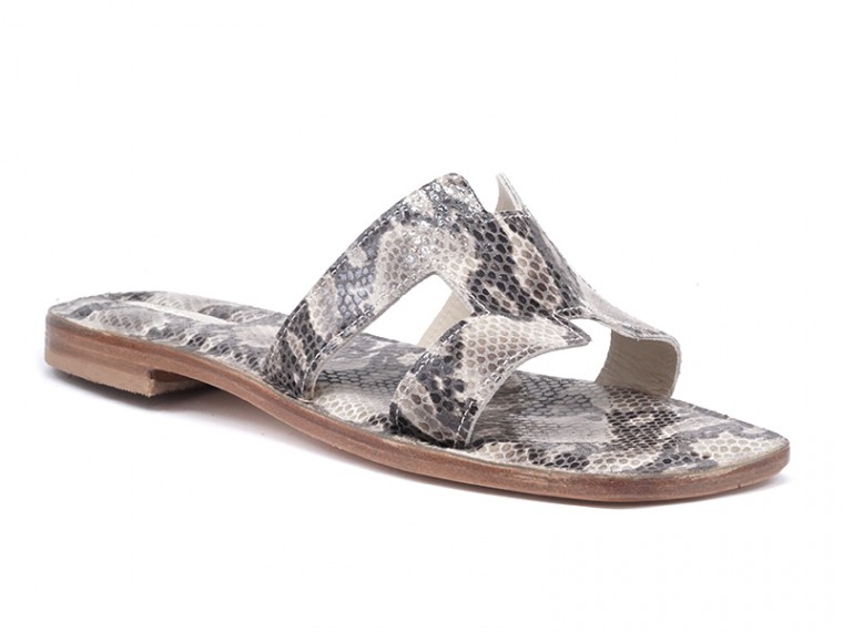 H maior pitone stampato